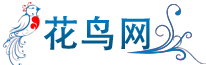 鸟百科