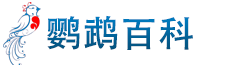 鹦鹉百科